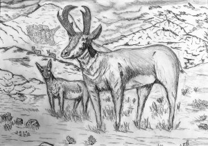 Untitled Drawing