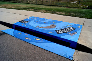 Keep Me Clean for Those Downstream