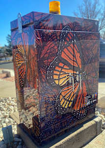 Viceroy Butterflies