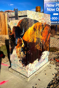 Clash of the Bison