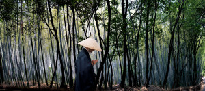 "Bamboo Monk" Kyoto, Japan