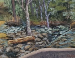 The Dam at Kimball Pond