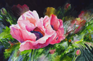 Poppy in Spotlight