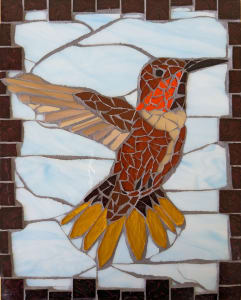 A Hummingbird Named Sonora
