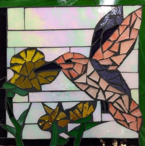 A Hummingbird Named Violet
