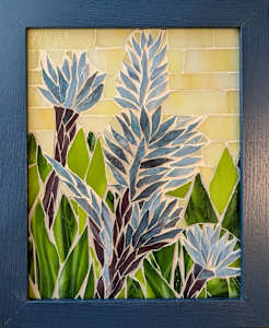 Bromeliad Protection