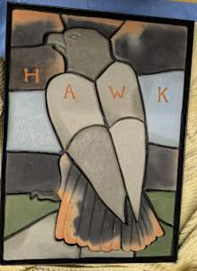 ASDM Hawk