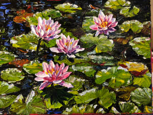 Four Water Lilies