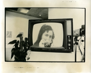 Split Screen, talking Plants, Video Maze, Everson Museum of Art 1975