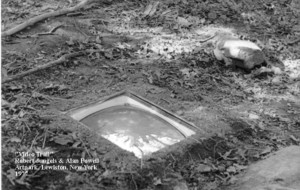 Video Trail by Robert Jungels and Alan Powell, Artpark 1977