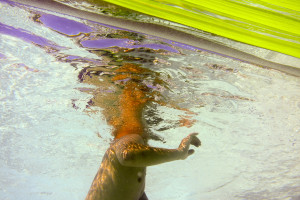 Headsplash