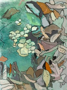 mushrooms Wissahickon Creek