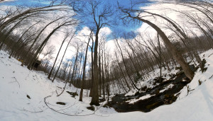 Rochester Hollow late winter