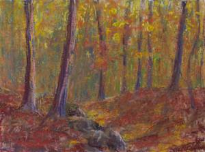 Autumn Woods