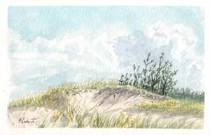 Beach Dune. Cape Henlopen, MD. Plein air painting in Watercolor.