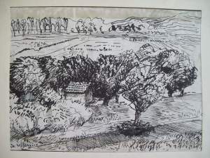 Small house in the field