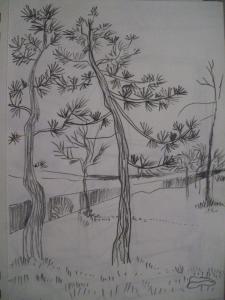 Trees