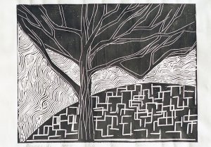 Nature 1/ The Tree of Life