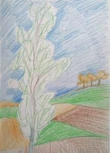 Colour pencils Landscape with poplar three