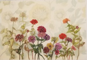 Zinnias