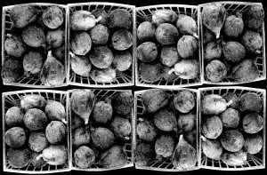 Figs in Black and White