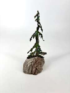 Rooted in Stone 4