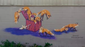 Fox Box