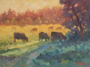 Sunset Field with Cows