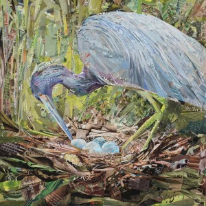 Minding the Nest