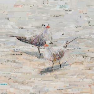 The Royal Terns
