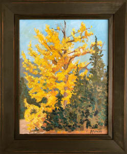 Grandfather Aspen