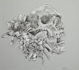 Skull and Peonies