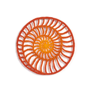 #45 Ammonite Circle