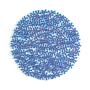 Coral Polyps
