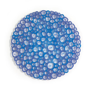 Corallite study #1