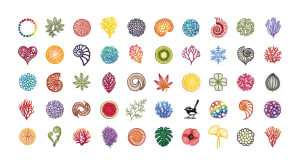 The First 50 - limited edition art print