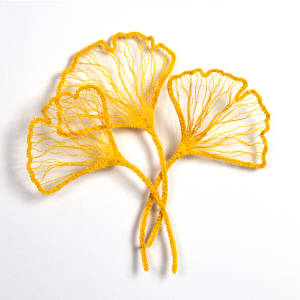 Little Ginkgo study 2