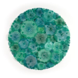 Corallimorph Circle