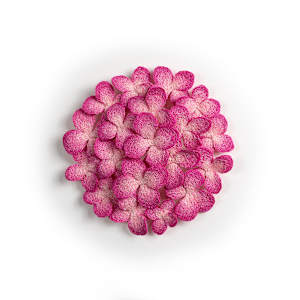 Pink Hydrangea