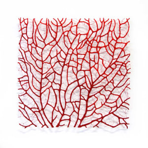 Red Coral Square