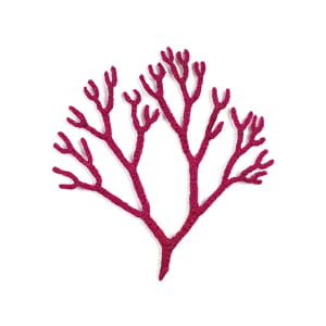 #17 Seaweed
