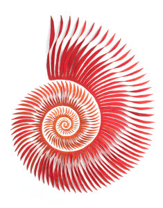 Spira mirabilius