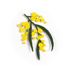 Wattle Sprig
