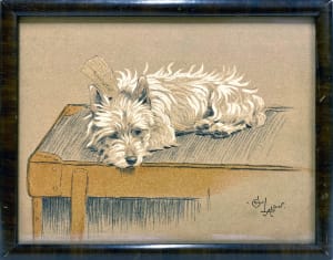 2789 - Dog