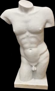4190 - Male Torso