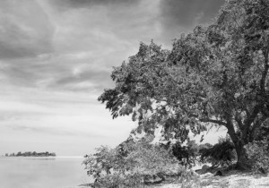 2912 - At the Shoreline
