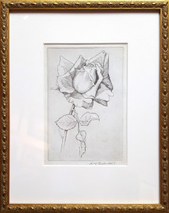 2414 - Rose