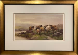 Wild Horses in Moorland Setting