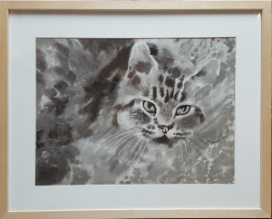 2729 - Grey Cat