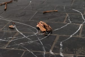 Weeping the World / Language Line III